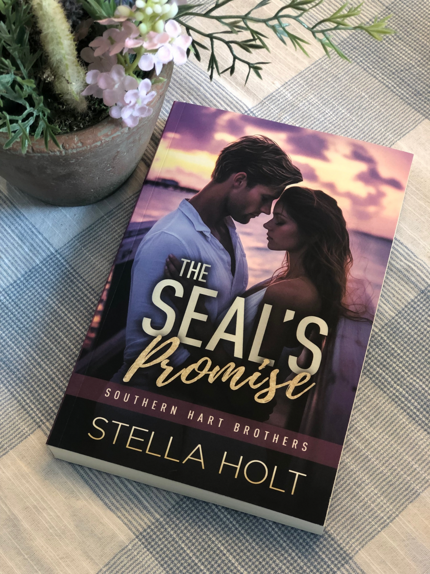 The SEAL's Promise-Southern Small Town Swoon