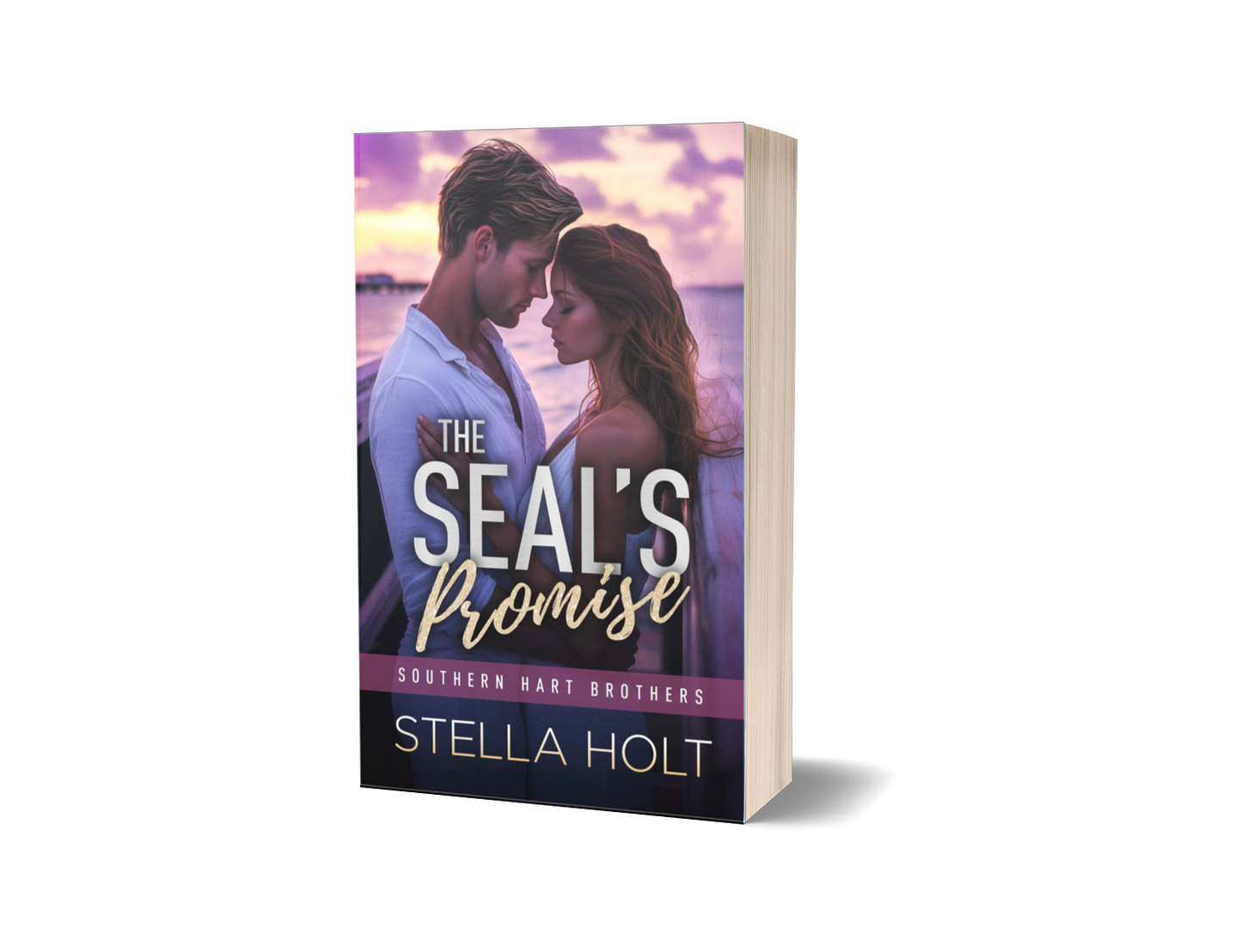 The SEAL's Promise-Southern Small Town Swoon