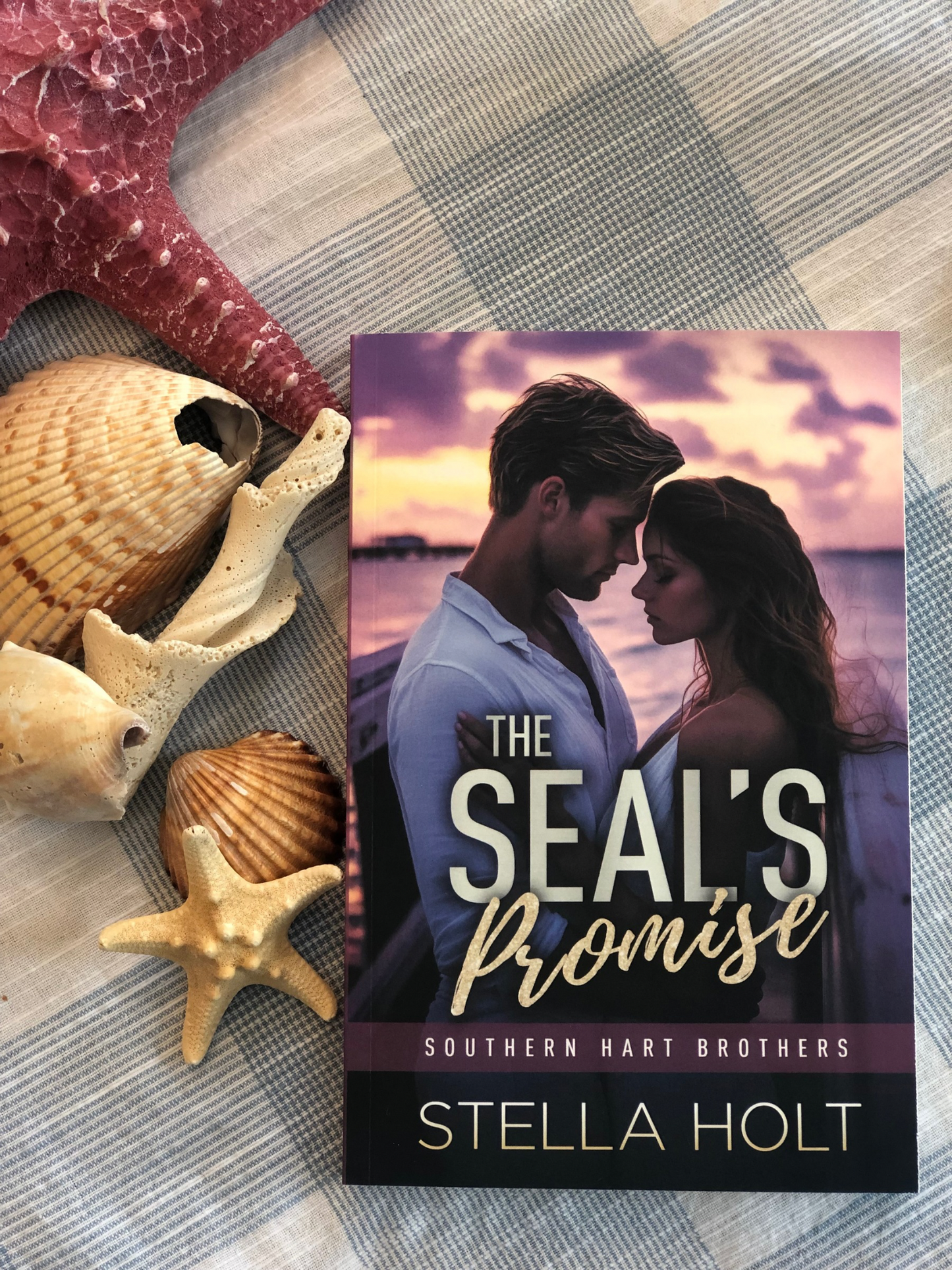 The SEAL's Promise-Southern Small Town Swoon